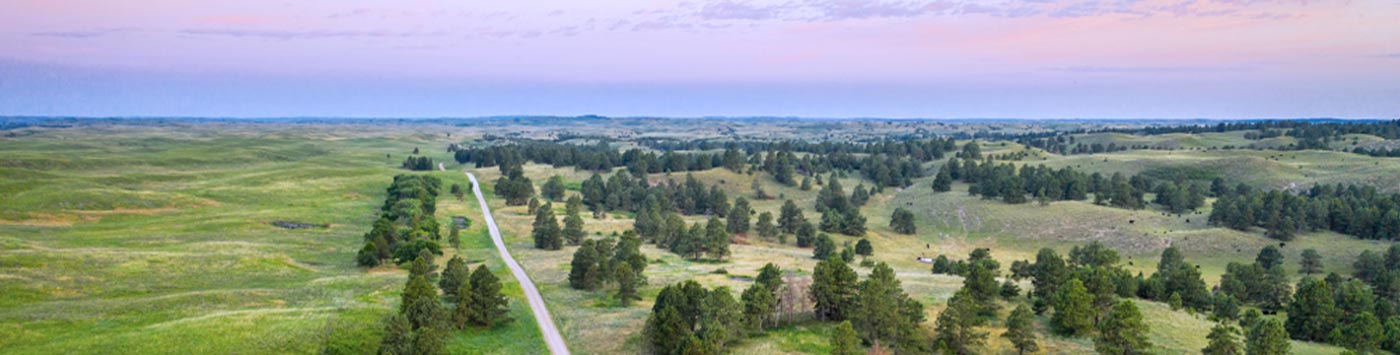 nebraska national forest at dawn